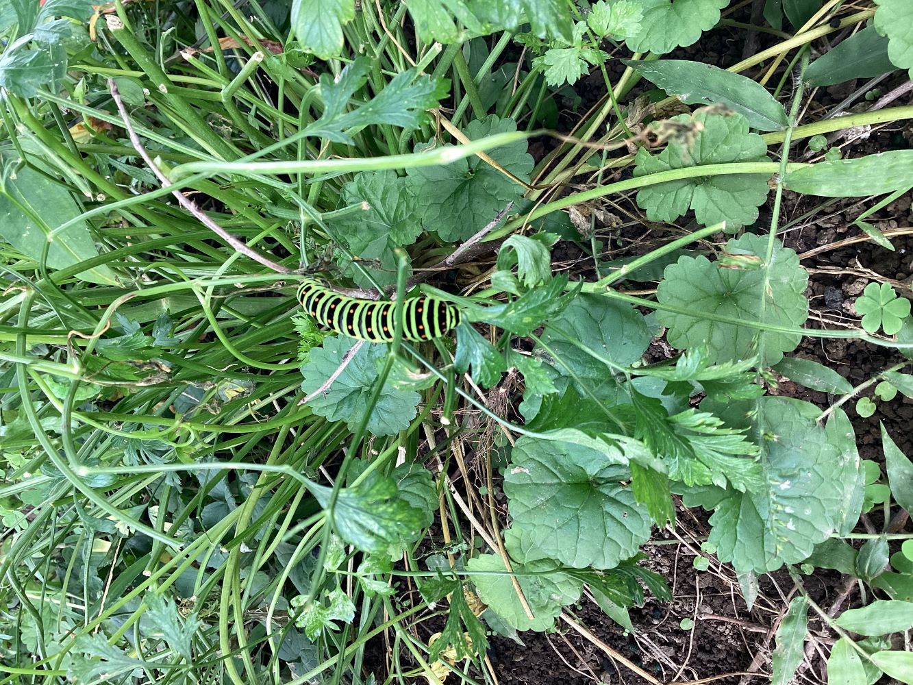 1FB24940-1D43-4111-A7BC-34E53258FA5Baa